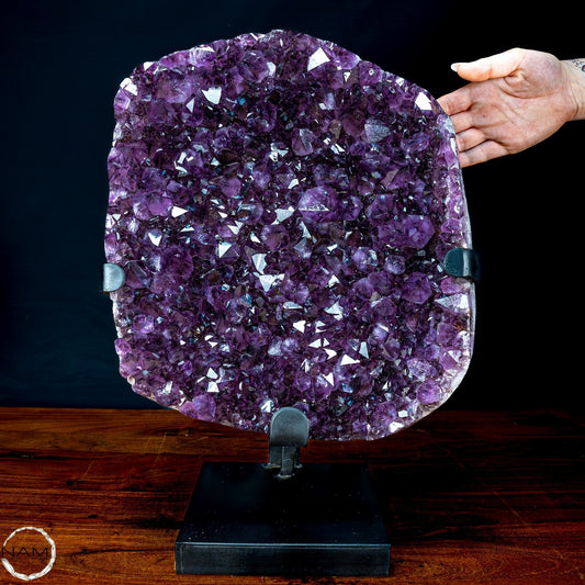 Natürliche Amethyst-Kristalle/Druse auf Ständer - 14752,51g