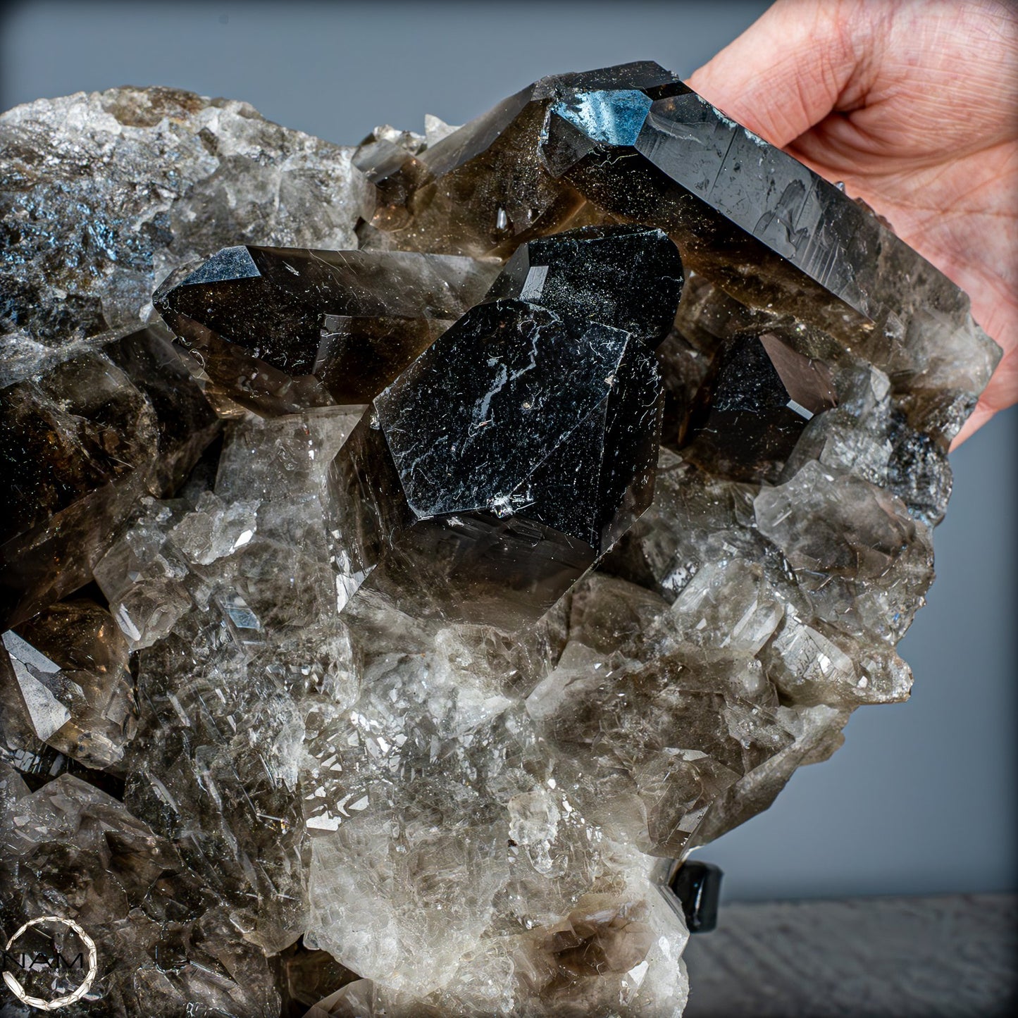 Große Natürliche Rauchquarz-Kristalle auf Ständer - 4719,38 g