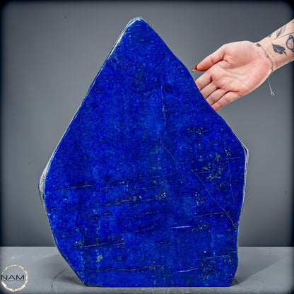 Königsblaue Lapis Lazuli Freiform – 15 kg pure Eleganz - 15084,72g
