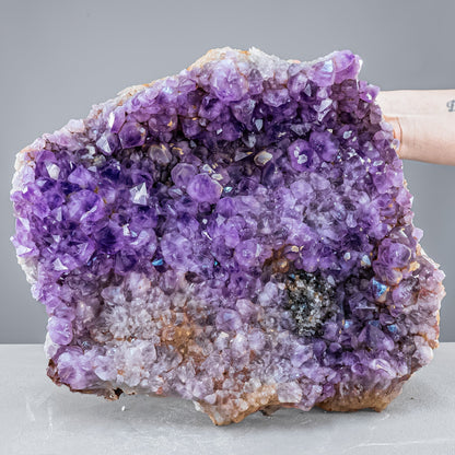 Riesen Kaktus-Amethyst aus Südafrika - 11765,71g