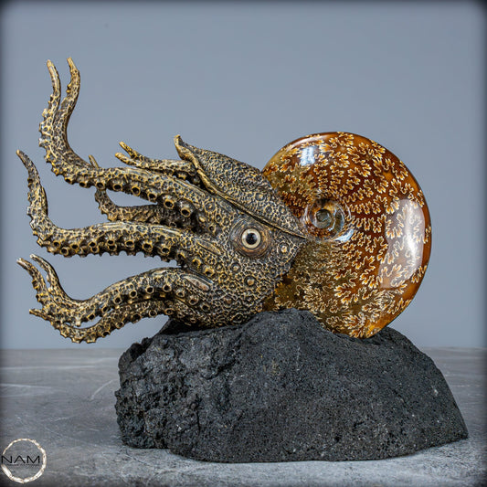 Natürlicher Ammonite verbunden mit Meisterhafter Kunst - 1079,22g