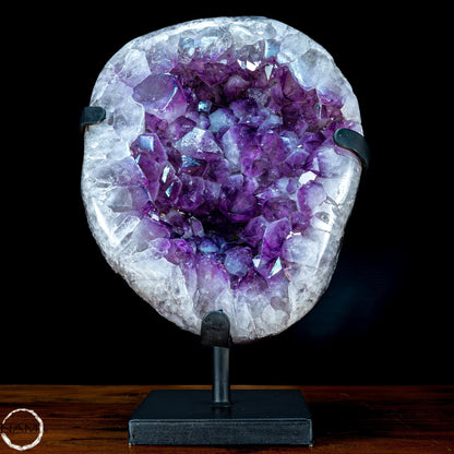 Große Natürliche Amethyst-Kristalle/Druse auf Ständer - 25653,08g