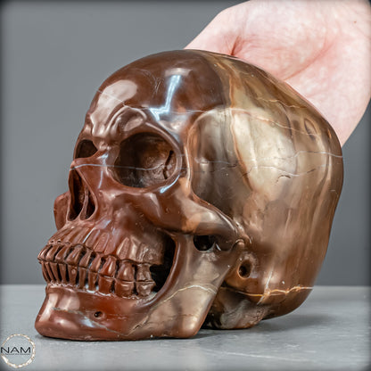 Imposanter Schädel aus rotem Achat - 2272,53g