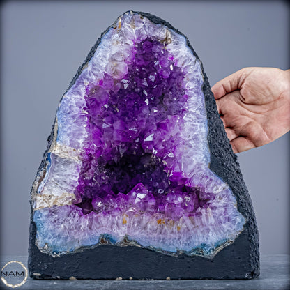Amethyst-Druse Kathedrale – Naturwunder aus Uruguay – 9660,82g