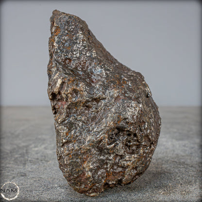 Natürlicher Sehr Großer Meteorit Campo Del Cielo, Argentinien - 1351,89g