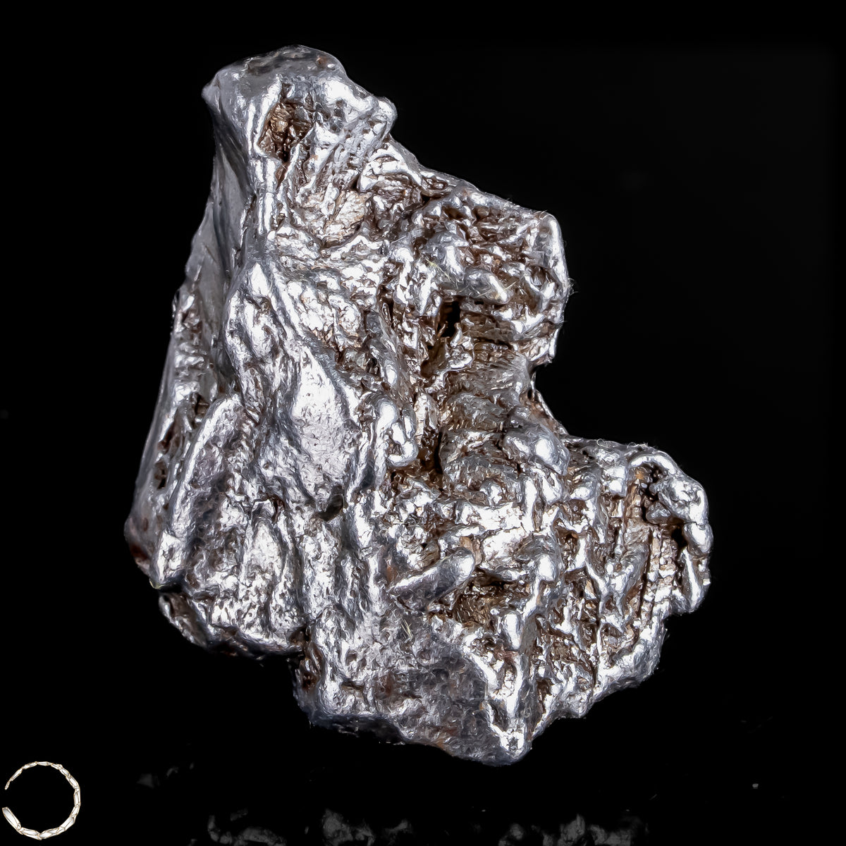 Natürlicher Meteorit Campo Del Cielo, Argentinien -53,11g - 265,55ct