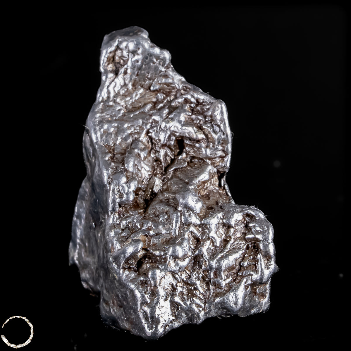 Natürlicher Meteorit Campo Del Cielo, Argentinien -53,11g - 265,55ct