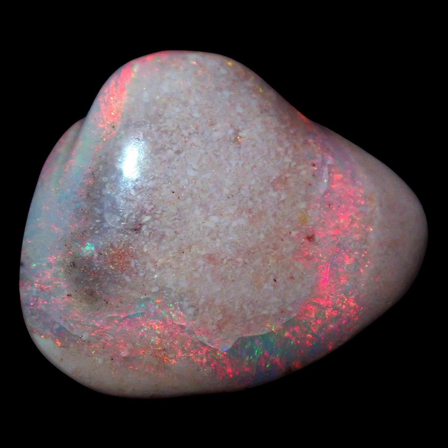 AAA+ Opalesierte Muschel aus Australien, 5,650ct