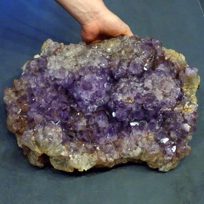 Riesen Kaktus-Amethyst aus Südafrika - 17609g - 380x305x155mm