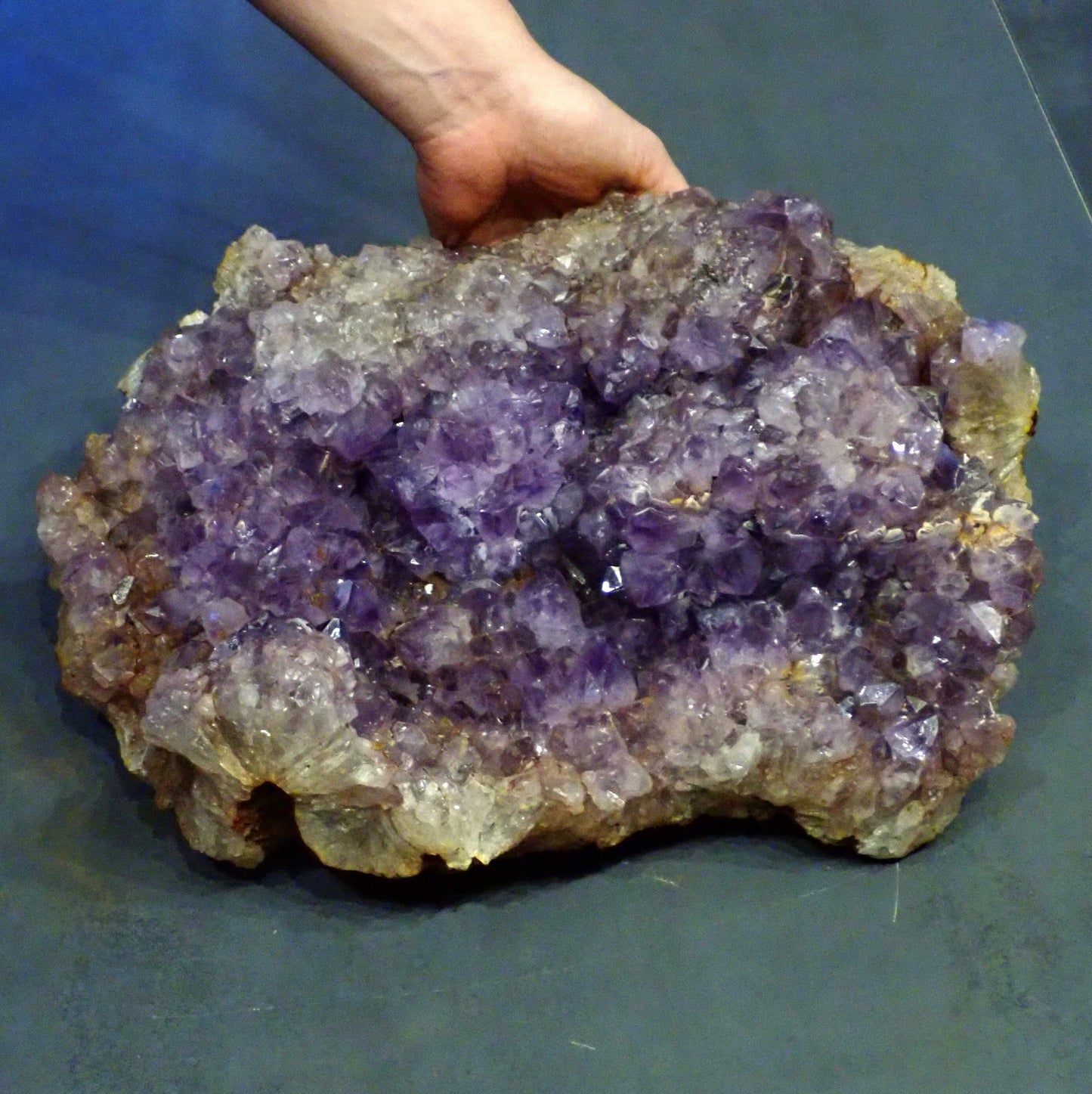 Riesen Kaktus-Amethyst aus Südafrika - 17609g - 380x305x155mm