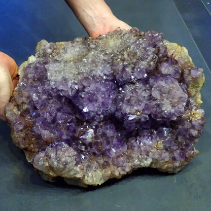 Riesen Kaktus-Amethyst aus Südafrika - 17609g - 380x305x155mm