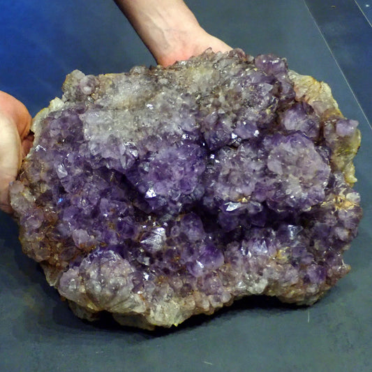 Riesen Kaktus-Amethyst aus Südafrika - 17609g - 380x305x155mm