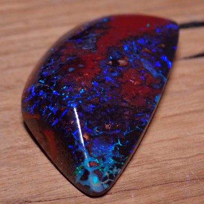 AAA+ Boulder Opal aus Australien 46.25ct - 9,25g