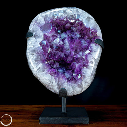 Große Natürliche Amethyst-Kristalle/Druse auf Ständer - 25653,08g