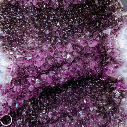 Amethyst-Druse–Naturkunst voller Kristallenergie- 41568,29g