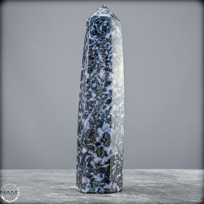 Natürlicher Merlinit (Gabbro) Kristall Obelisk - 821,77g
