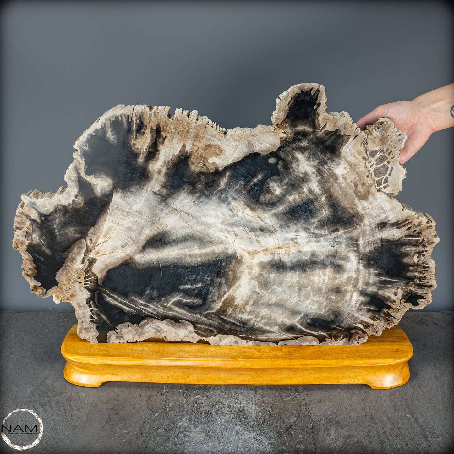 Natürliche Versteinerte Holz Kristall-Scheibe aus Arizona - 16728,48g