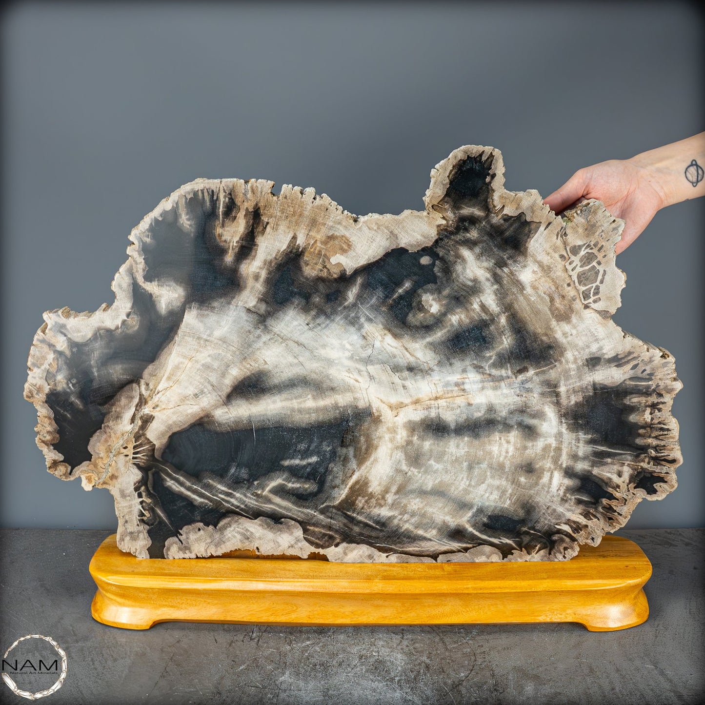 Natürliche Versteinerte Holz Kristall-Scheibe aus Arizona - 16728,48g