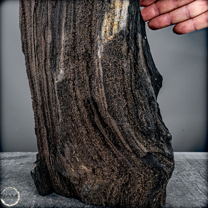 Feenholz – Ein außergewöhnliches Naturkunstwerk  – 7174,96g