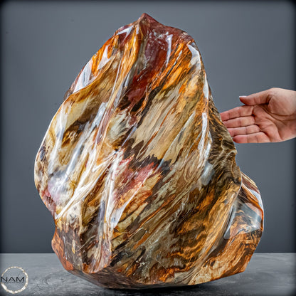 Natürliche Kristall-Flamme aus Versteinertem Holz  - 57231,11g