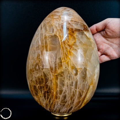 Golden Healer Quarz-Ei aus Brasilien - 5707,33g