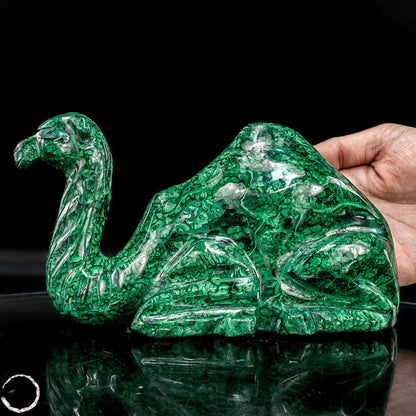 Sehr alte Malachit Skulptur Kamel, Kongo - 1844,82g