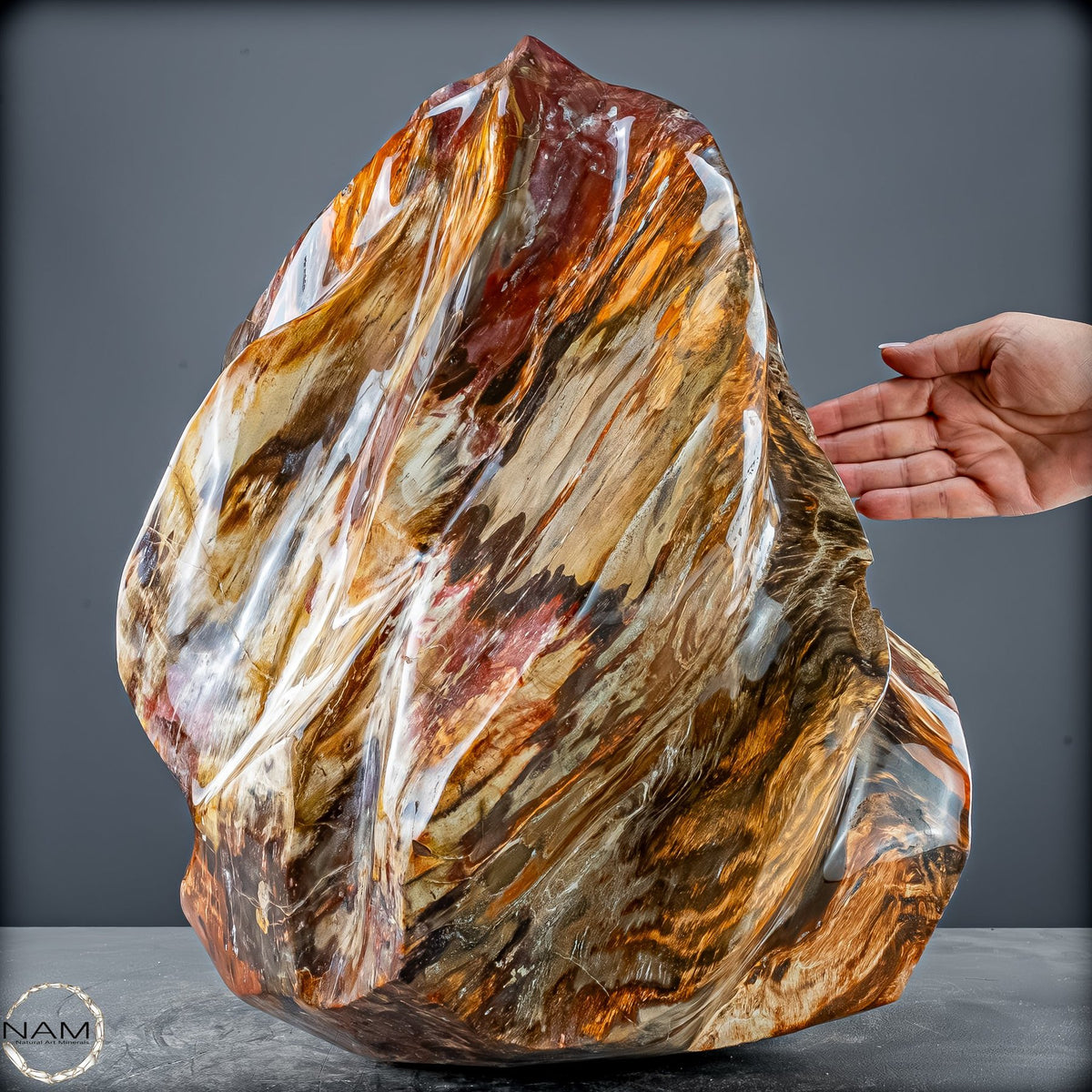 Natürliche Kristall-Flamme aus Versteinertem Holz  - 57231,11g