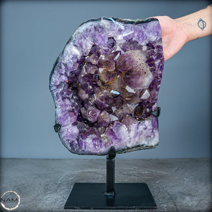 Natürliche Amethyst-Kristalle/Druse auf Ständer - 8280,11g