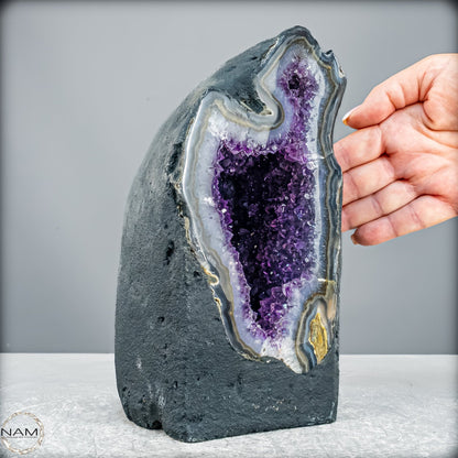 Amethyst-Druse Kathedrale – Naturwunder aus Uruguay – 3833,45g