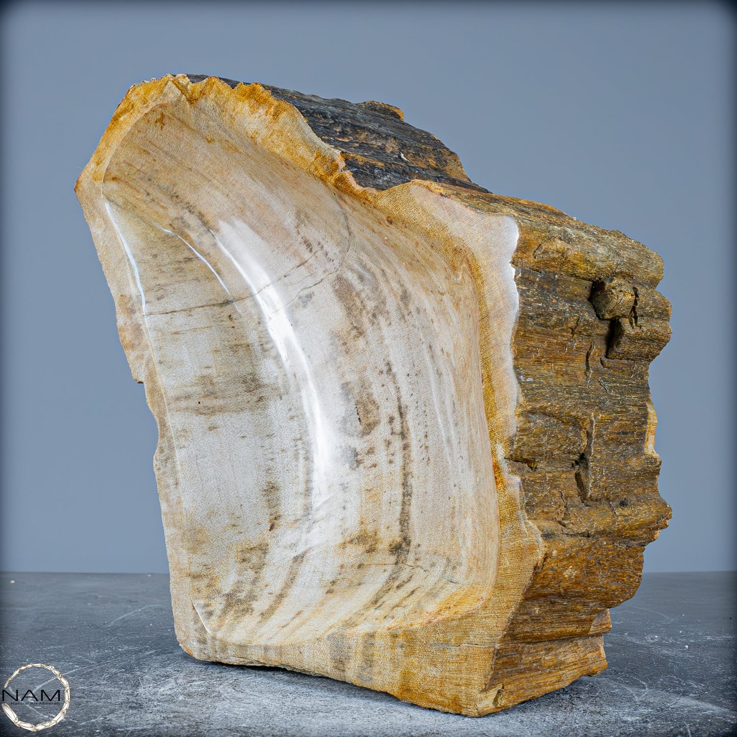 Natürliche Versteinerte Holz Kristall-Schale - 2599,59g
