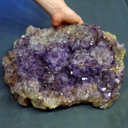 Riesen Kaktus-Amethyst aus Südafrika - 17609g - 380x305x155mm