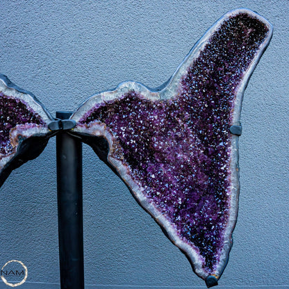 Einzigartige Massive Amethyst-Geode - Museumsqualität - 81 KG