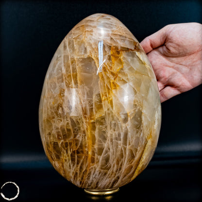 Golden Healer Quarz-Ei aus Brasilien - 5707,33g