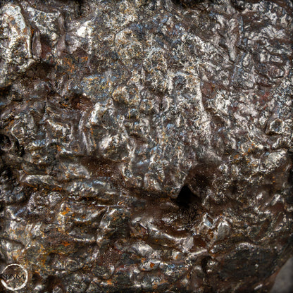 Natürlicher Sehr Großer Meteorit Campo Del Cielo, Argentinien - 1351,89g