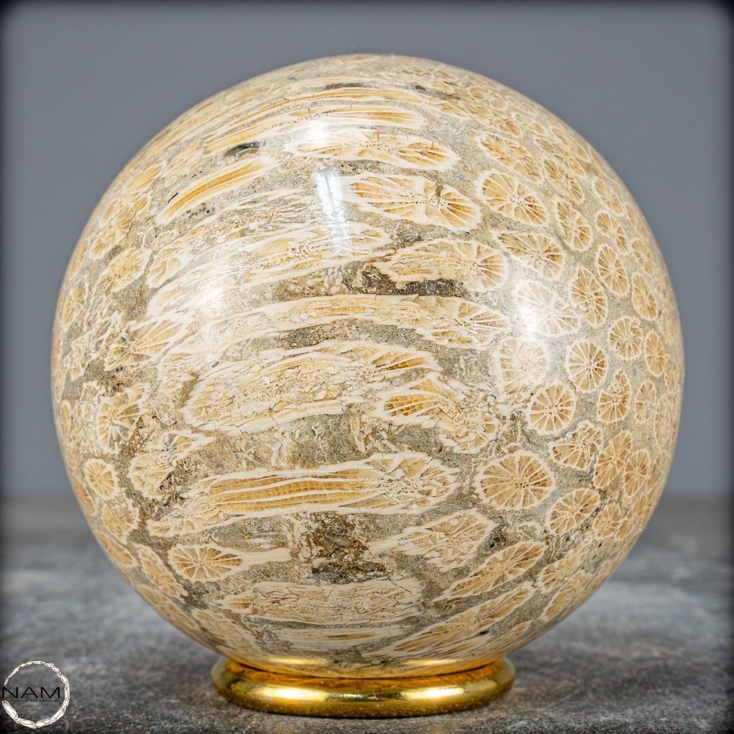 Natürliche Fossile Koralle als Kugel - 860,95g