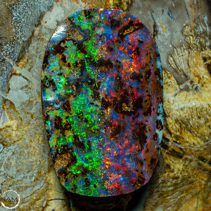 Natürlicher AAA+ Boulder Opal aus Australien Edelsteinqualität - 68,92ct