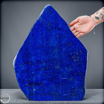 Königsblaue Lapis Lazuli Freiform – 15 kg pure Eleganz - 15084,72g