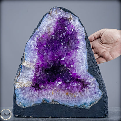 Amethyst-Druse Kathedrale – Naturwunder aus Uruguay – 9660,82g