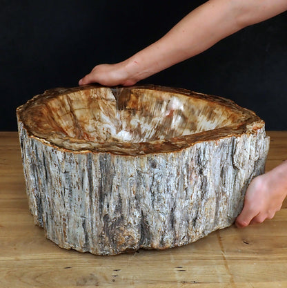 Sehr Große Schüssel - Waschbecken aus Versteinertes Holz - 59802,31g - 510 x 410 x 220mm