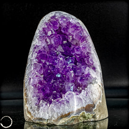 Natürliche Amethyst-Kristall Druse - 936,33g
