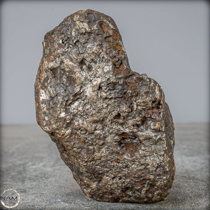 Natürlicher Sehr Großer Meteorit Campo Del Cielo, Argentinien - 1351,89g