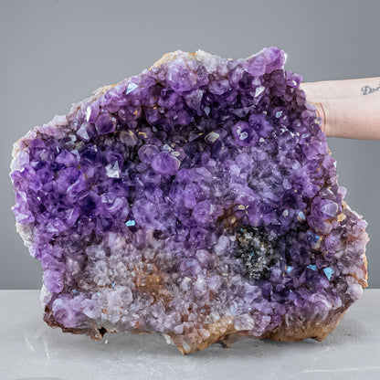 Riesen Kaktus-Amethyst aus Südafrika - 11765,71g