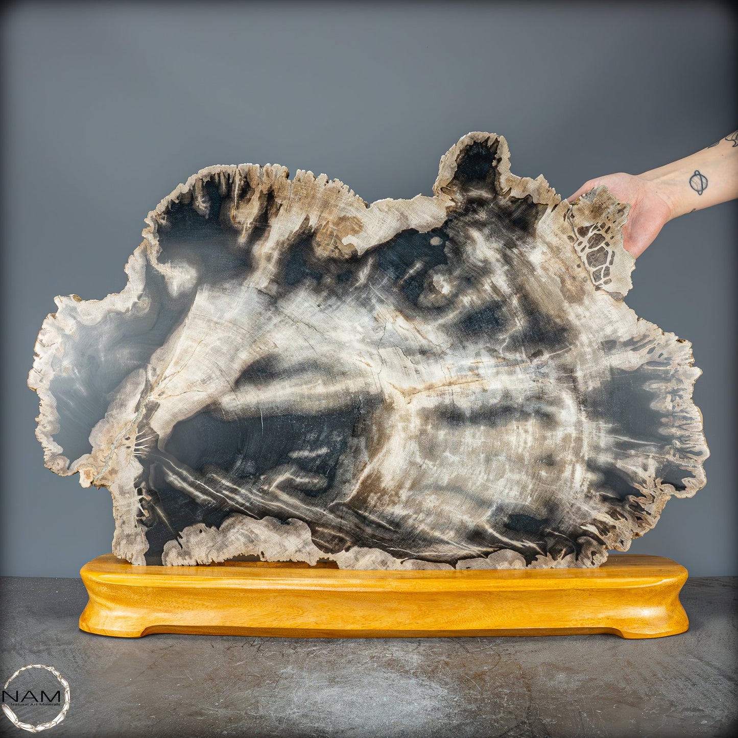 Natürliche Versteinerte Holz Kristall-Scheibe aus Arizona - 16728,48g