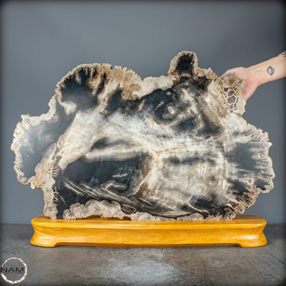 Natürliche Versteinerte Holz Kristall-Scheibe aus Arizona - 16728,48g