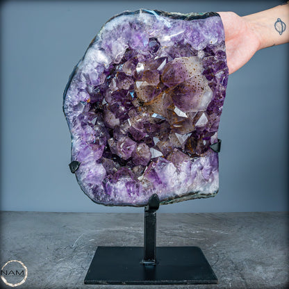 Natürliche Amethyst-Kristalle/Druse auf Ständer - 8280,11g