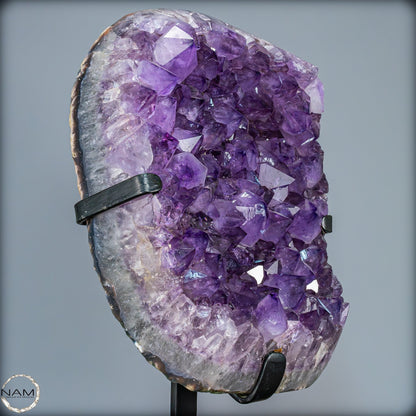 Natürliche Amethyst-Kristalle/Druse auf Ständer - 12881,84g
