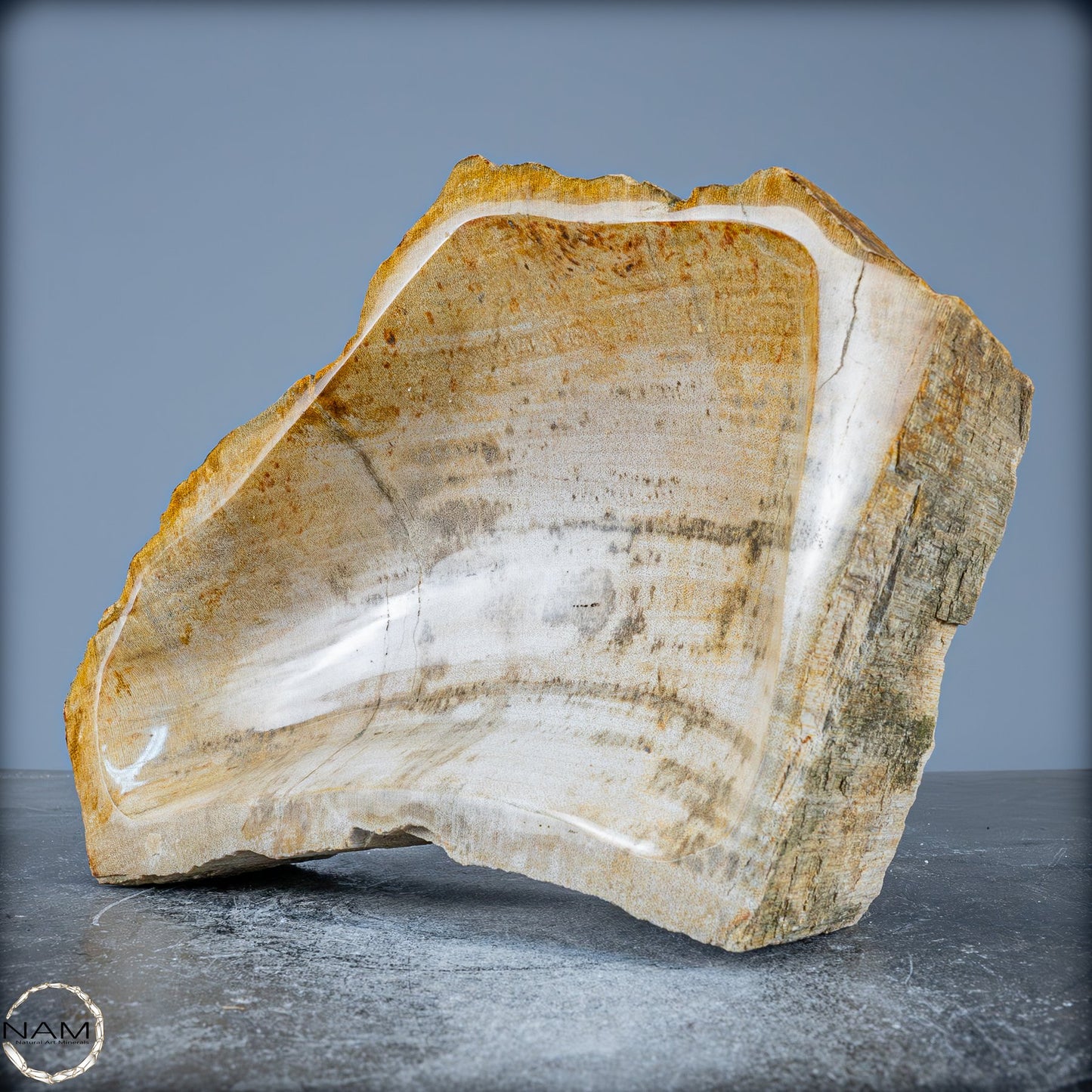 Natürliche Versteinerte Holz Kristall-Schale - 2599,59g