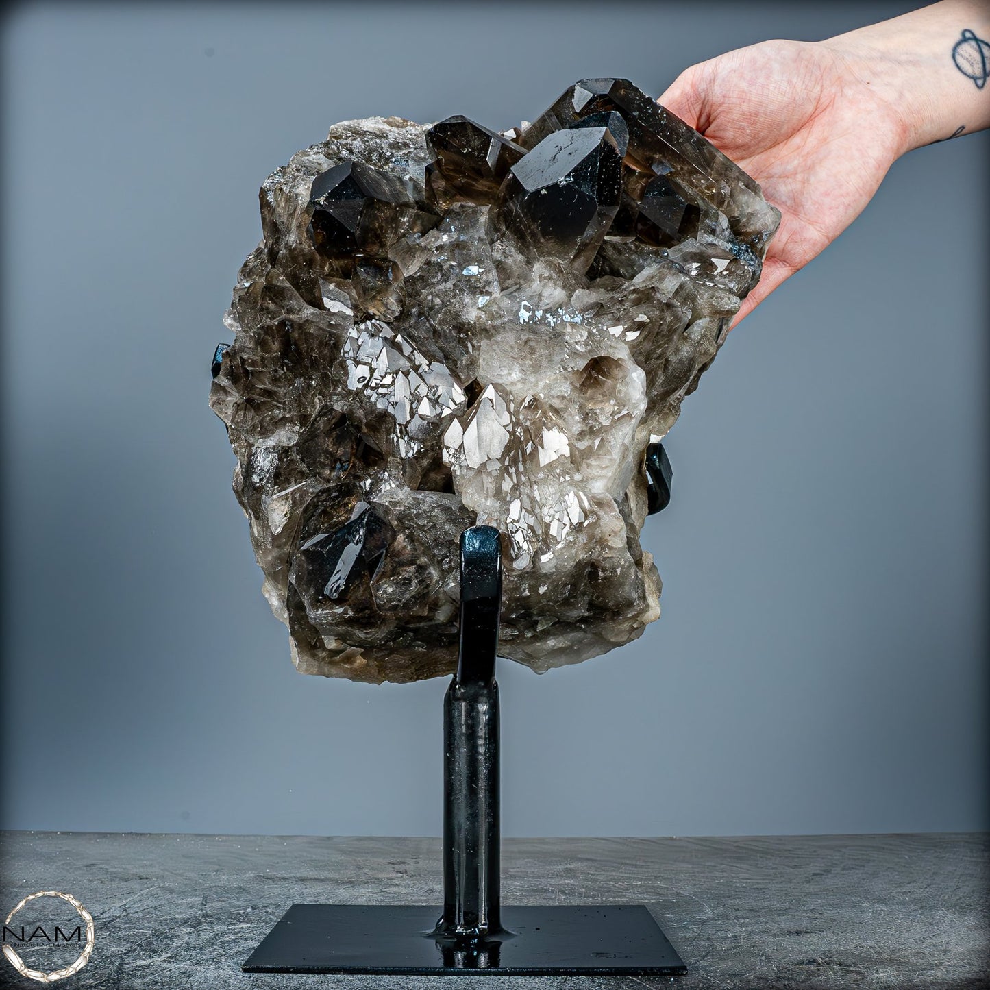 Große Natürliche Rauchquarz-Kristalle auf Ständer - 4719,38 g