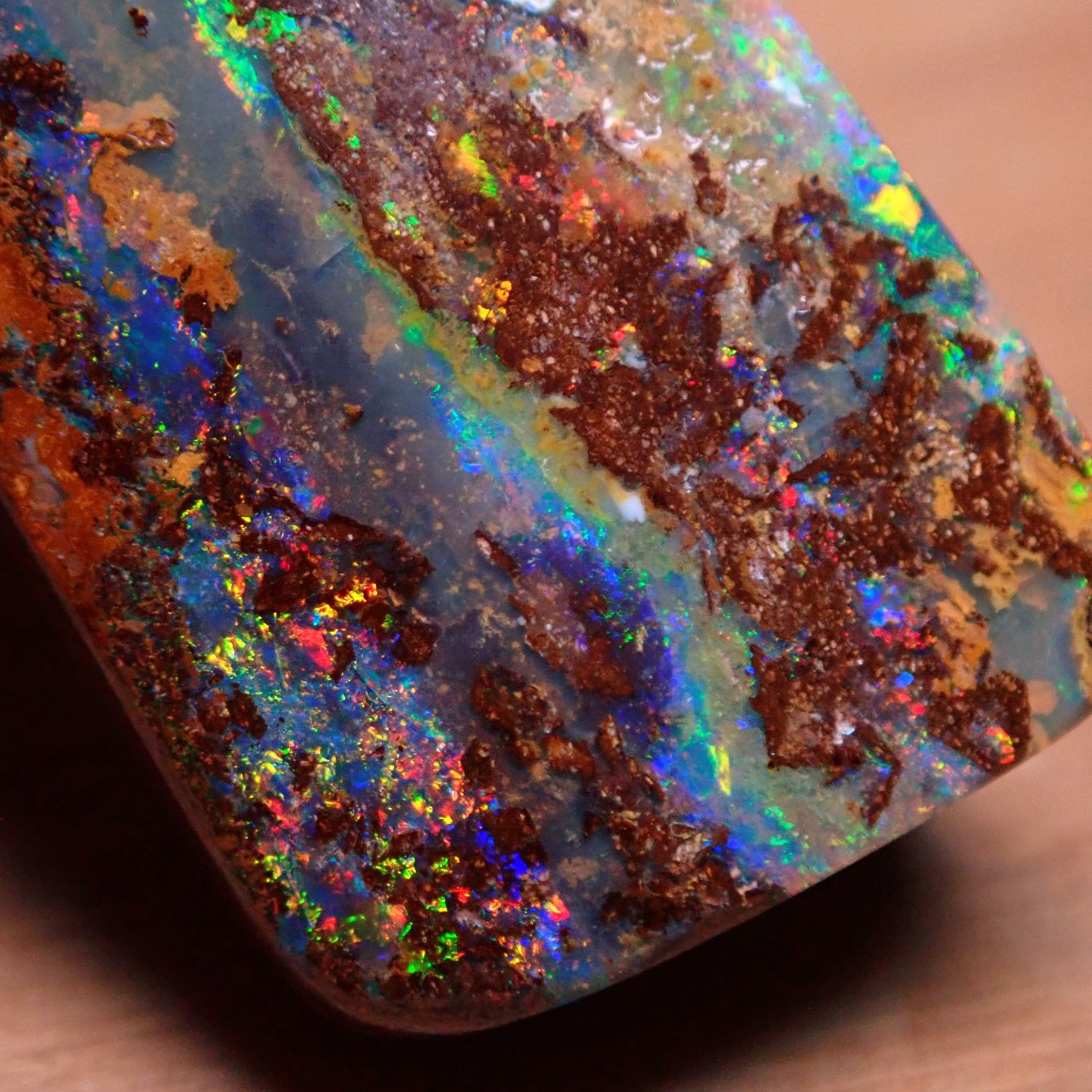 AAA+++ Boulder Opal Anhänger - 50,9ct