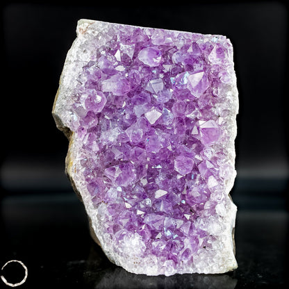 Natürliche Amethyst-Kristall Druse - 744,51g